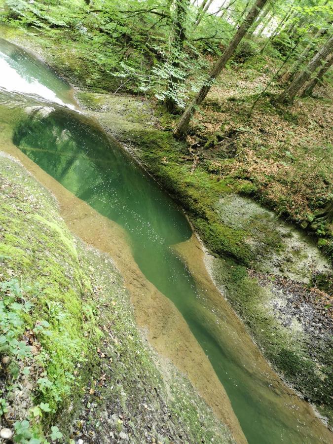 Ferienwohnung Nest Wangen im Allgaeu ภายนอก รูปภาพ