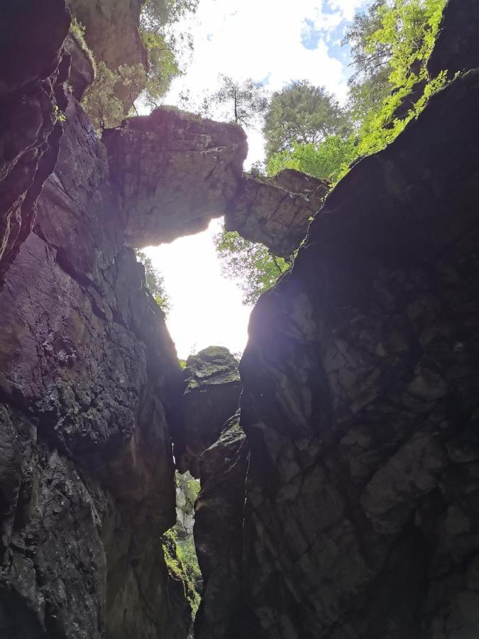 Ferienwohnung Nest Wangen im Allgaeu ภายนอก รูปภาพ