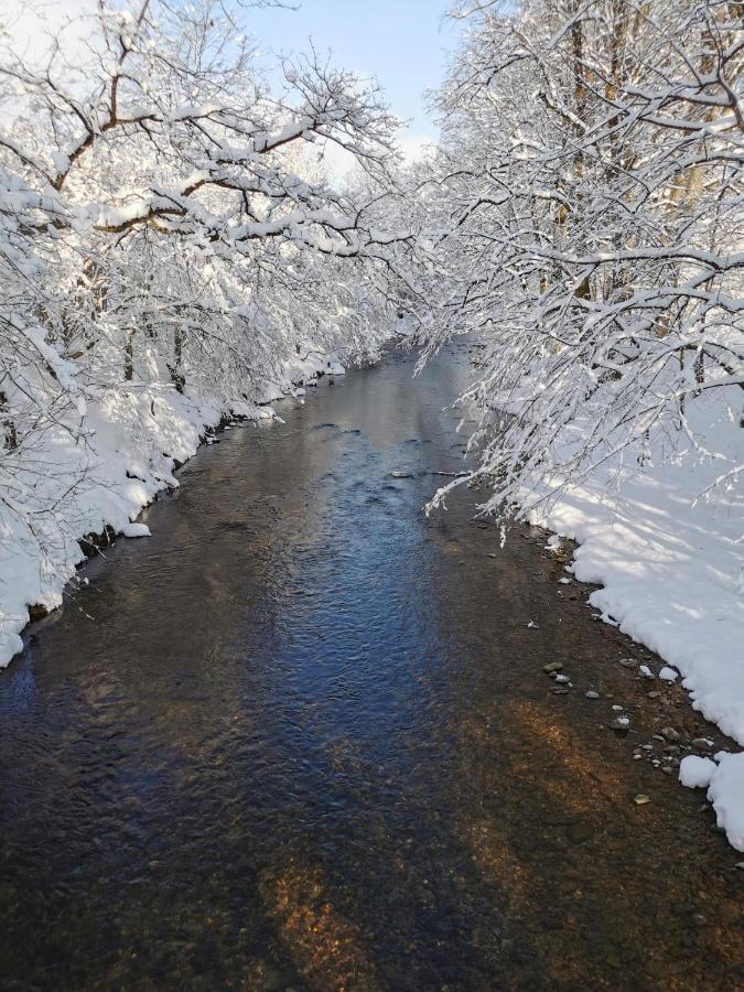 Ferienwohnung Nest Wangen im Allgaeu ภายนอก รูปภาพ